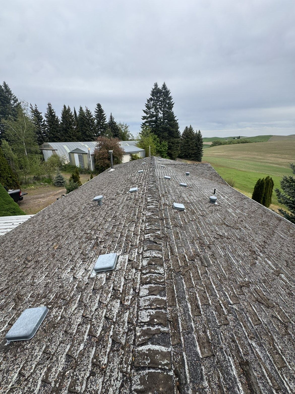 Before: heavily deteriorated roof with worn, curling, and missing shingle material