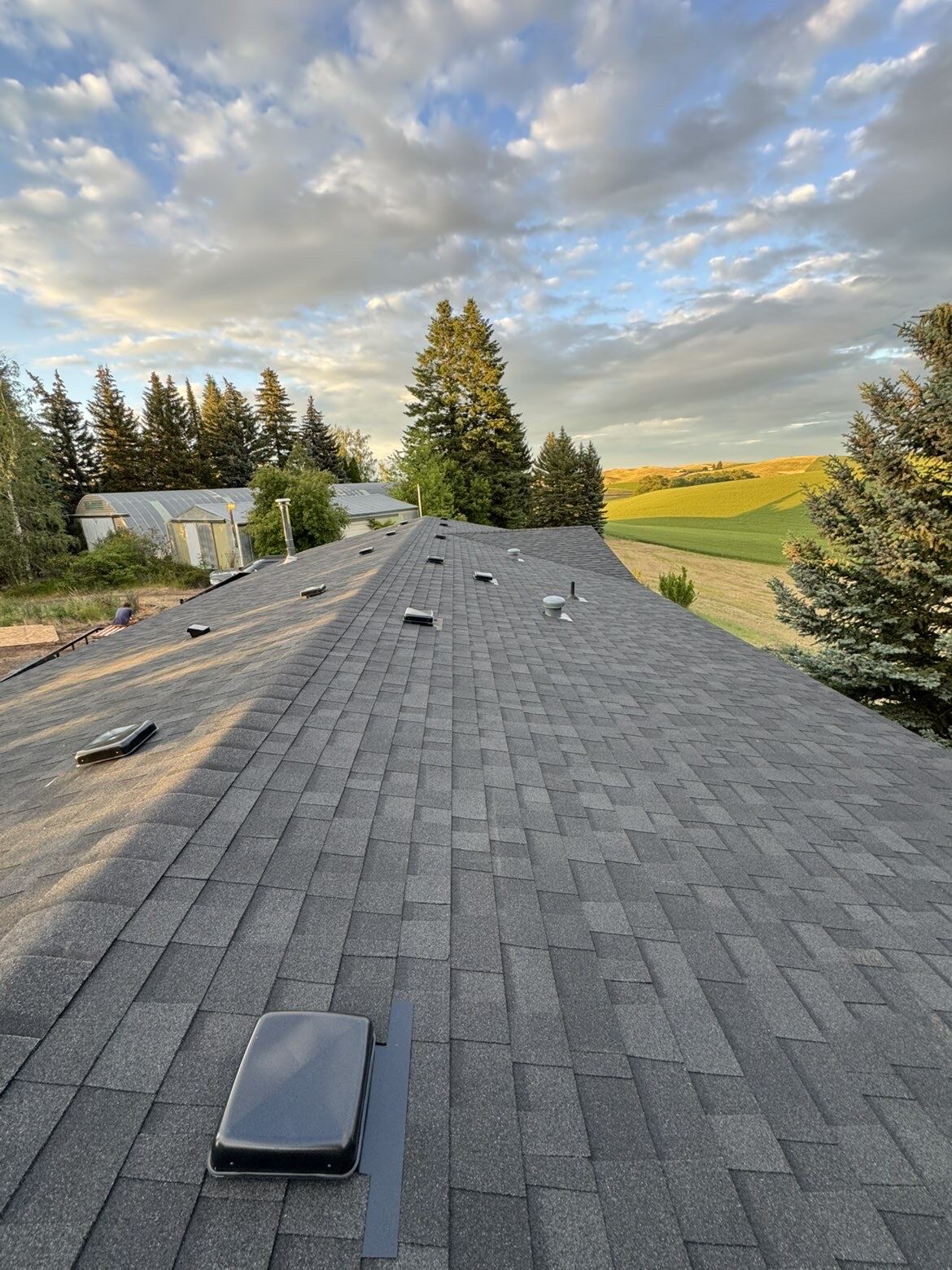 After: the same roof fully replaced with new architectural shingles