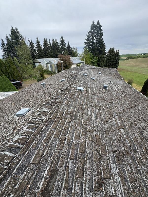 Before: severely worn and deteriorated shingle roof