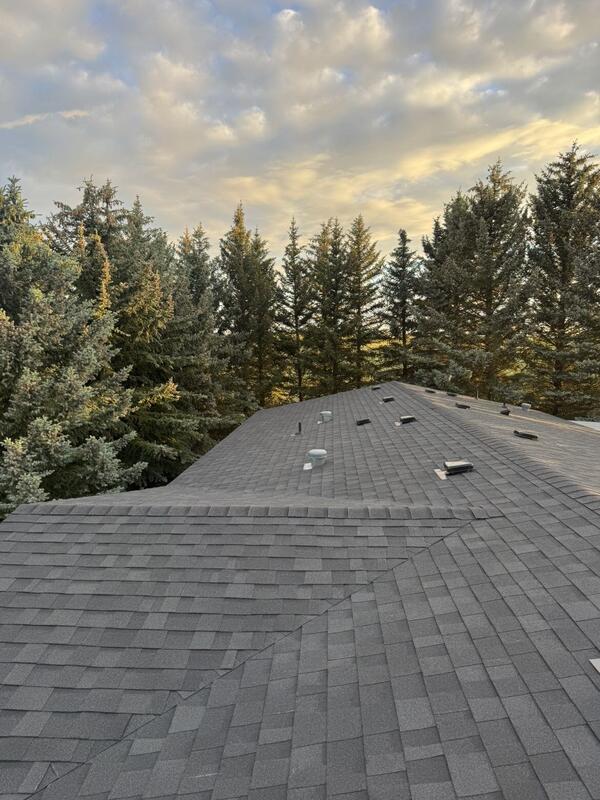 Repaired shingle roof section among pine trees